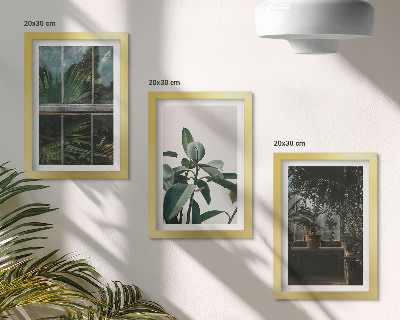 Framed triptych Green leaves on the window and plants inside