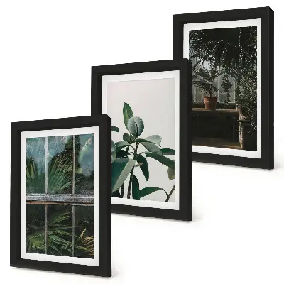 Green leaves and indoor plants triptych framed wall art set