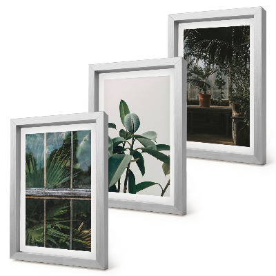 Framed triptych Green leaves on the window and plants inside