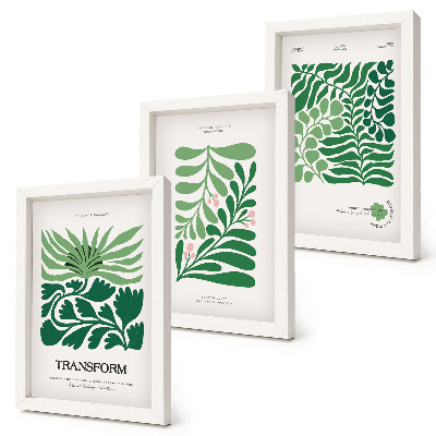 3-piece wall art set A set of green leaves and plants in various shapes