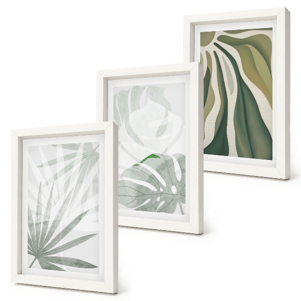 Photo frame wall Plant leaves in shades of green and gray