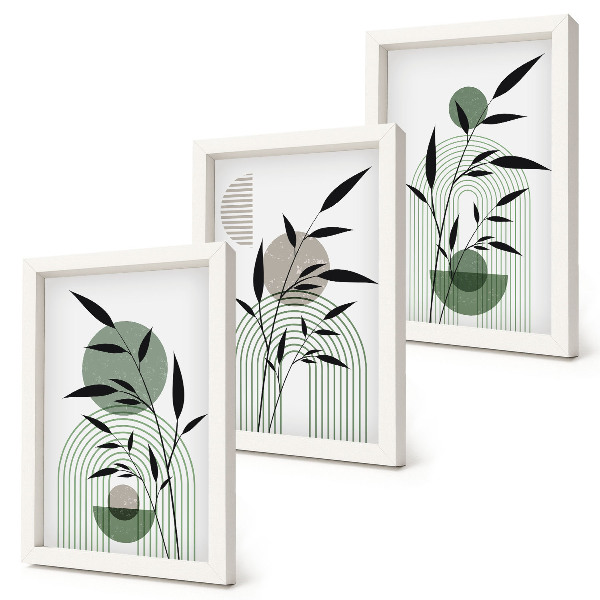 Framed triptych Abstract plant compositions, boho style