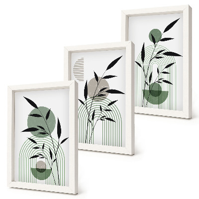Framed triptych Abstract plant compositions, boho style