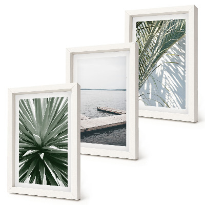 Photo frame wall Palm leaves plant and wooden bridge