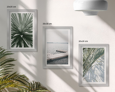 Photo frame wall Palm leaves plant and wooden bridge