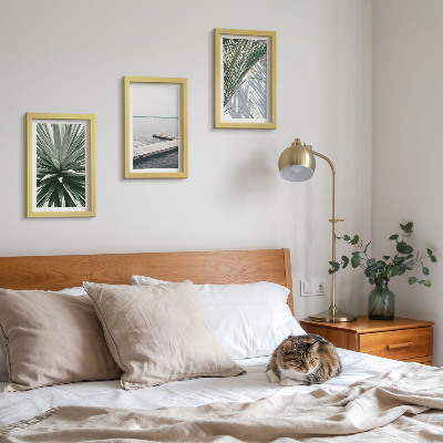 Photo frame wall Palm leaves plant and wooden bridge