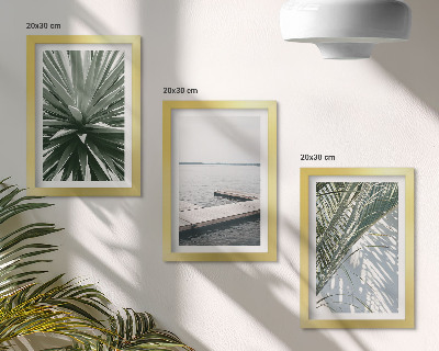 Photo frame wall Palm leaves plant and wooden bridge