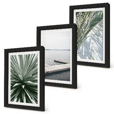 Photo frame wall Palm leaves plant and wooden bridge