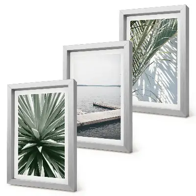 Photo frame wall palm leaves plant and wooden bridge motif