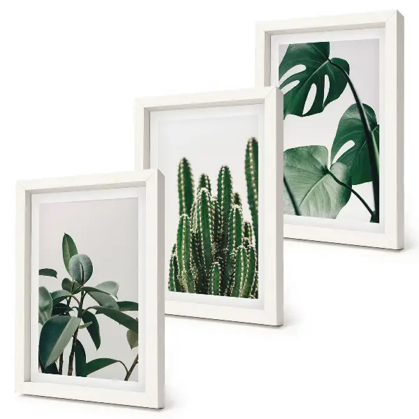 Tropical houseplants aesthetic leaves framed triptych