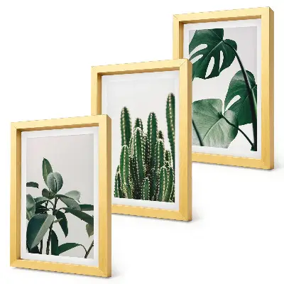 Tropical houseplants aesthetic leaves framed triptych