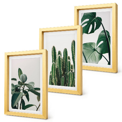Framed triptych Tropical houseplants aesthetic leaves