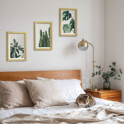 Framed triptych Tropical houseplants aesthetic leaves