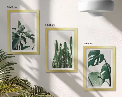 Tropical houseplants aesthetic leaves framed triptych
