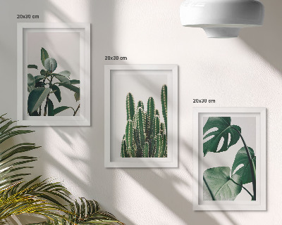 Framed triptych Tropical houseplants aesthetic leaves