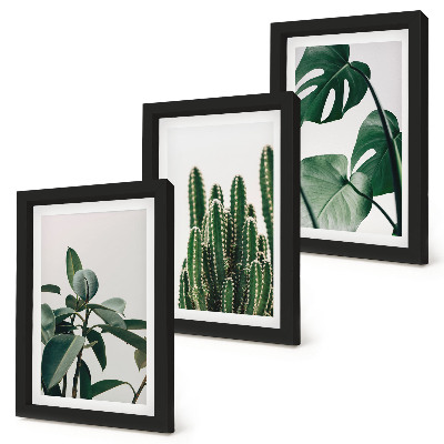 Framed triptych Tropical houseplants aesthetic leaves