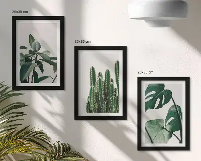 Tropical houseplants aesthetic leaves framed triptych