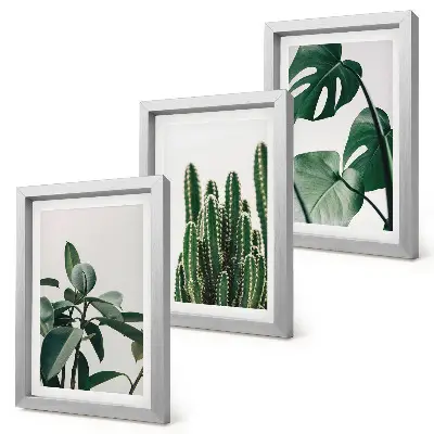 Tropical houseplants aesthetic leaves framed triptych