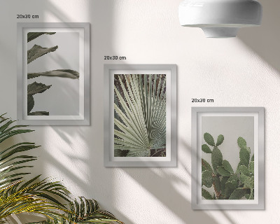 Framed triptych Leaves of tropical plants in pastel colors