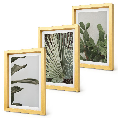 Framed triptych Leaves of tropical plants in pastel colors