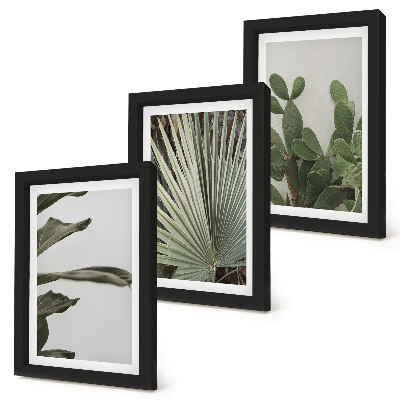 Framed triptych Leaves of tropical plants in pastel colors