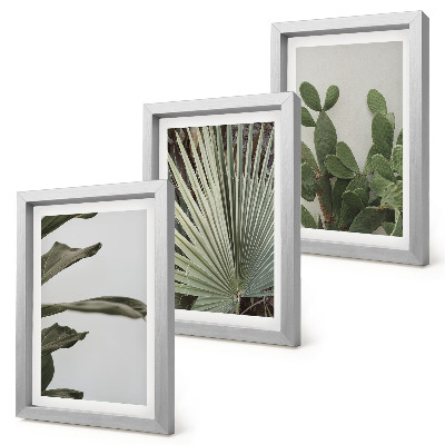 Framed triptych Leaves of tropical plants in pastel colors