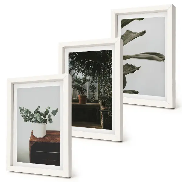 Potted plants with rustic leaves framed triptych