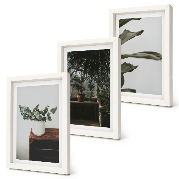 Framed triptych Potted plants with rustic leaves