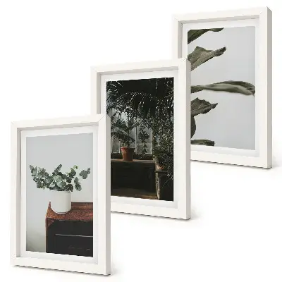 Potted plants with rustic leaves framed triptych