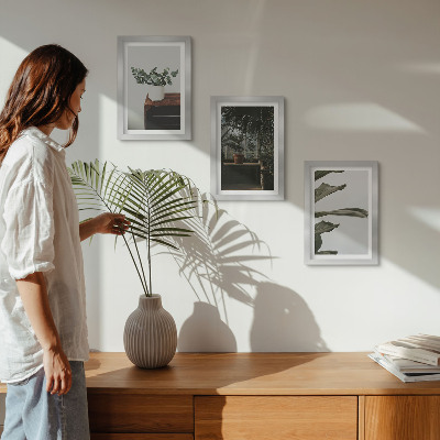 Framed triptych Potted plants with rustic leaves