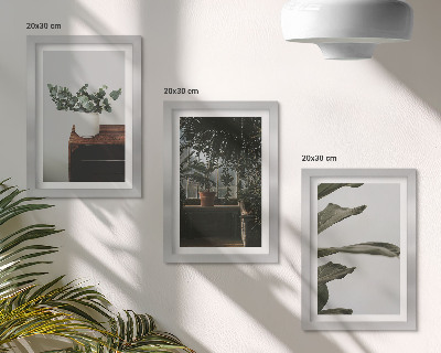 Framed triptych Potted plants with rustic leaves