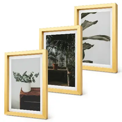 Potted plants with rustic leaves framed triptych