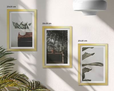 Framed triptych Potted plants with rustic leaves