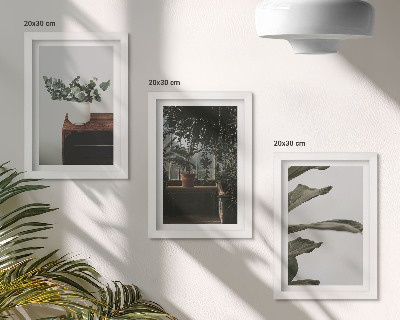 Framed triptych Potted plants with rustic leaves