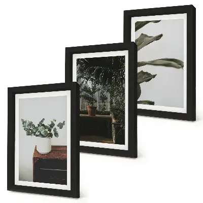 Potted plants with rustic leaves framed triptych