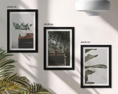 Framed triptych Potted plants with rustic leaves