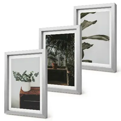 Potted plants with rustic leaves framed triptych