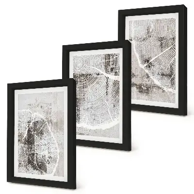 Photo frame wall with wood grain patterns in shades of gray and white