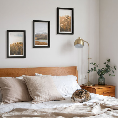 Framed triptych Landscapes with meadows, mountains and a lake in the background