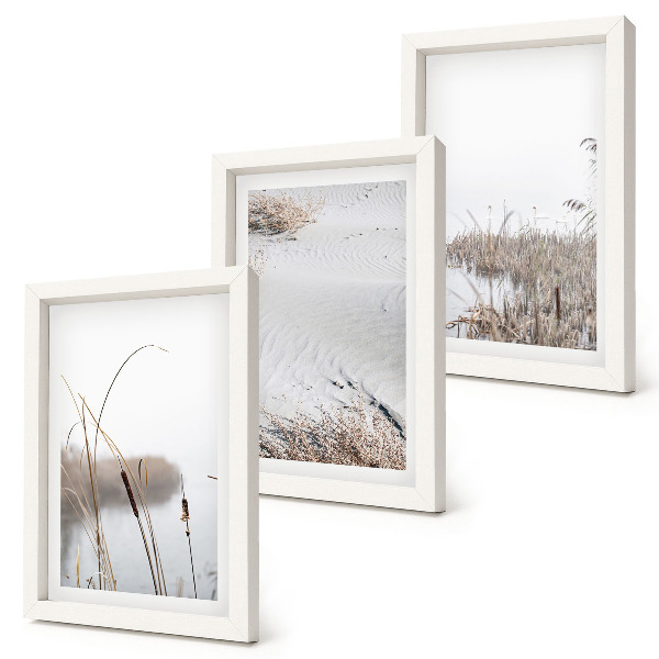 3-piece wall art set Aquatic vegetation delicate summer views