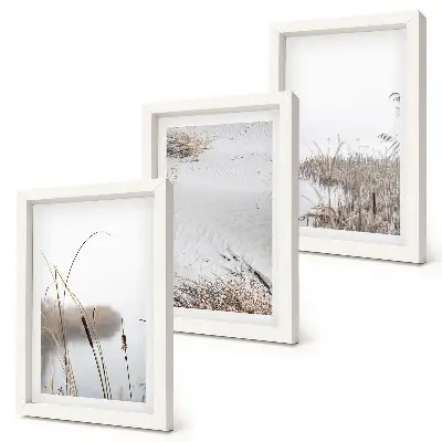 3-piece wall art set featuring delicate aquatic vegetation summer views