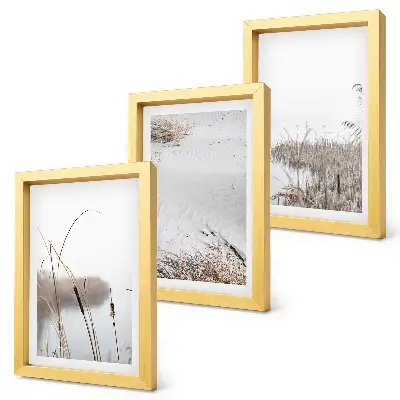 3-piece wall art set featuring delicate aquatic vegetation summer views