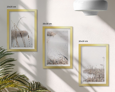 3-piece wall art set Aquatic vegetation delicate summer views