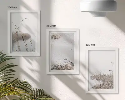 3-piece wall art set featuring delicate aquatic vegetation summer views