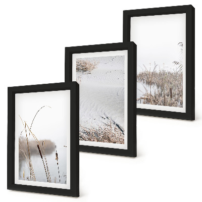 3-piece wall art set Aquatic vegetation delicate summer views