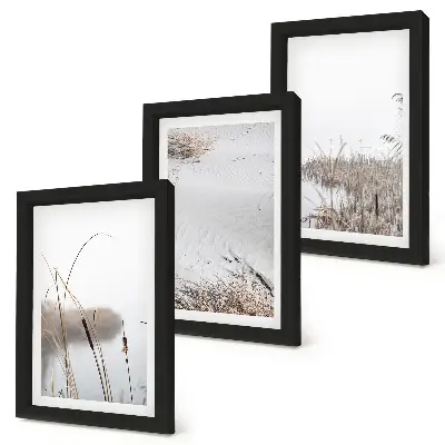 3-piece wall art set featuring delicate aquatic vegetation summer views