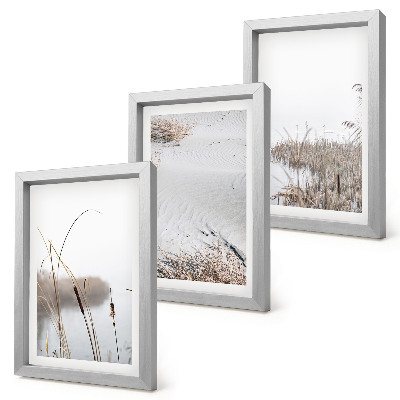 3-piece wall art set Aquatic vegetation delicate summer views