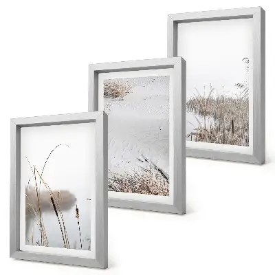 3-piece wall art set featuring delicate aquatic vegetation summer views