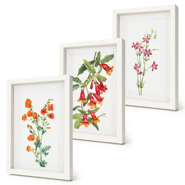 Vintage retro flower painting 3-piece wall art set