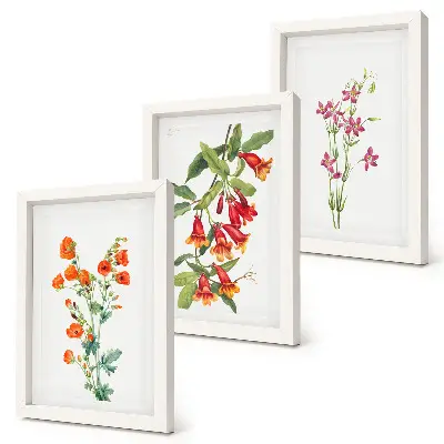 Vintage retro flower painting 3-piece wall art set
